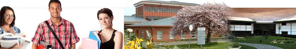 Banner Image Banner Image