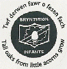 Bryntirion Infants
