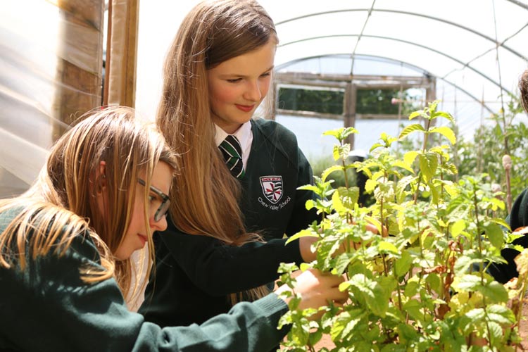 Chew Valley School Careers Site Eteach (25212)