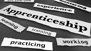 Spotlight on...apprenticeships